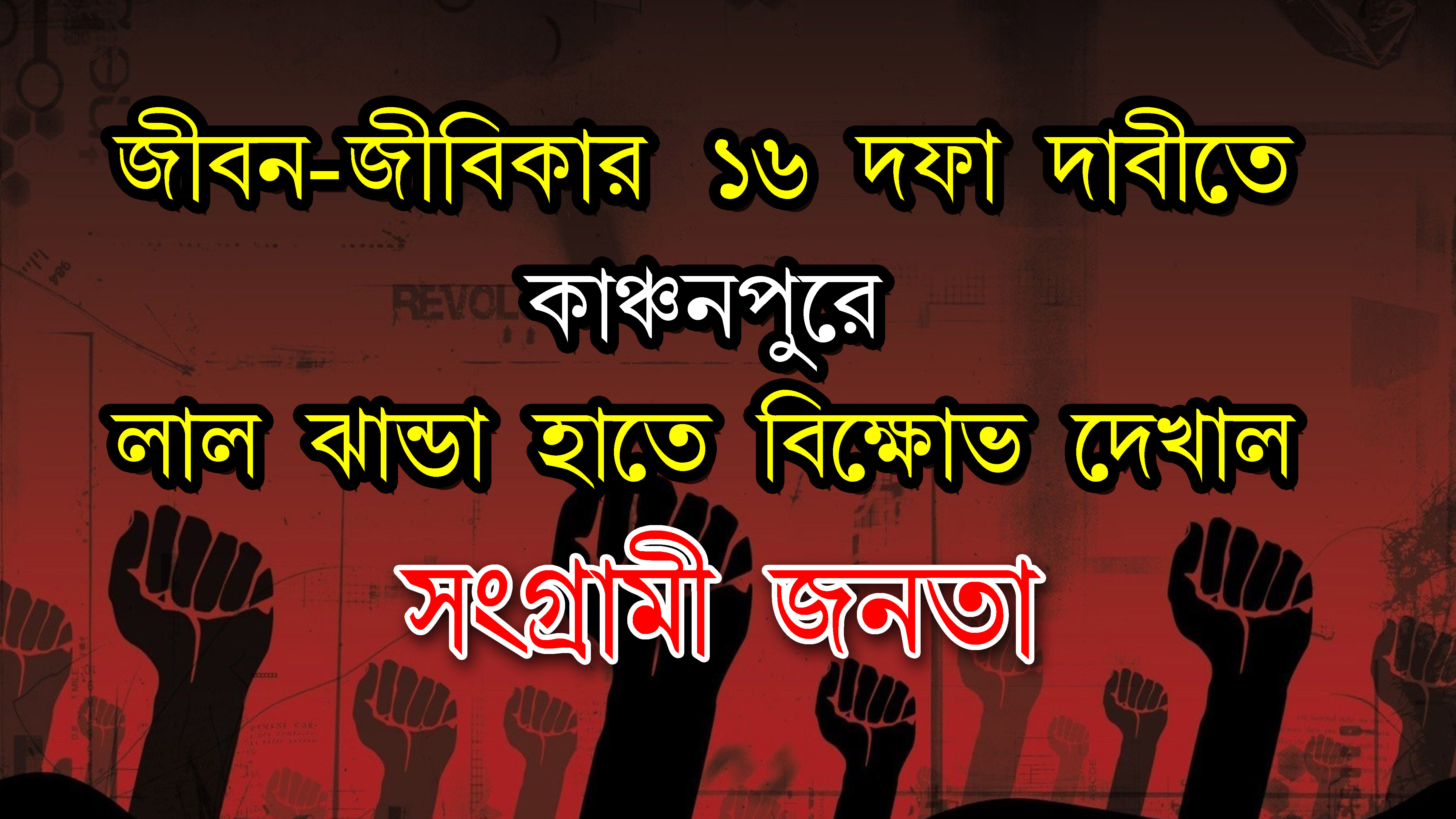 লালঝান্ডা হাতে নিয়ে কাঞ্চনপুরের নানা স্থানে দাবি আদায়ের আন্দোলনে শামিল হাজারো মানুষ